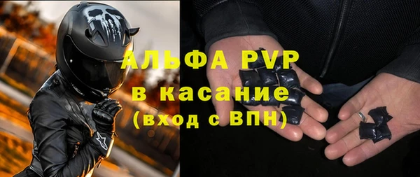 стаф Богородск