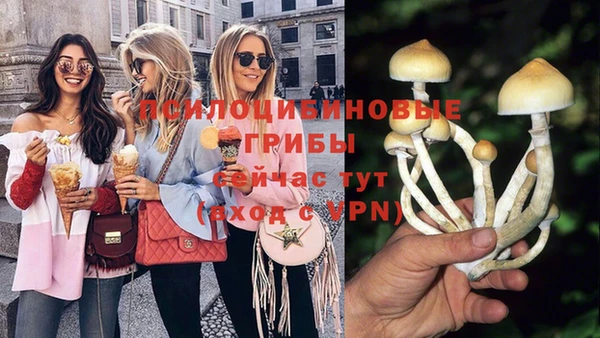 метадон Богородицк