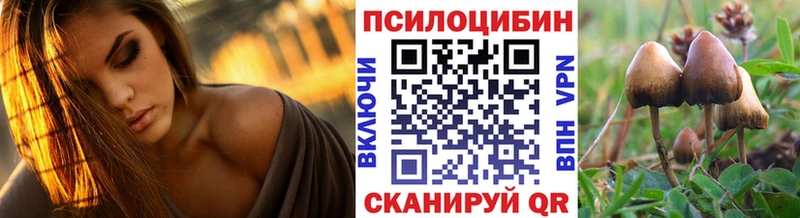 Галлюциногенные грибы GOLDEN TEACHER где купить наркоту Вязьма