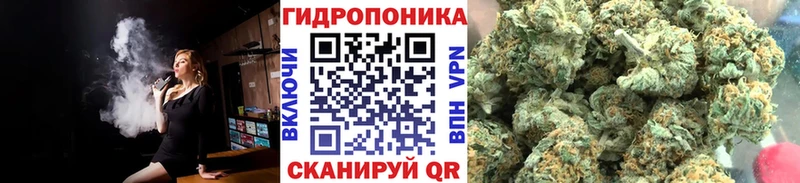 Конопля White Widow площадка Telegram Вязьма